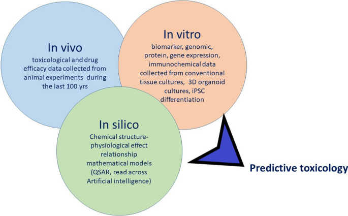 in Vivo vs in Vitro Testing - What's The Difference?