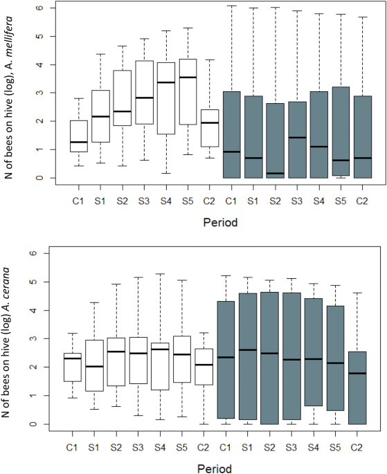 Are Asian elephants afraid of honeybees? Experimental studies in northern  Thailand