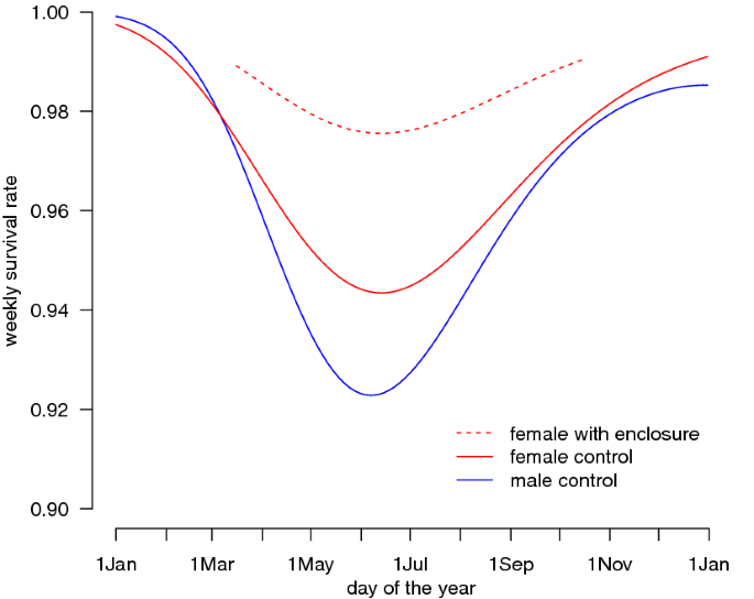 Age-specific survival curves for male and female Syrian hamsters of the