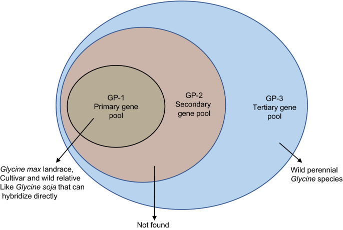 Whole-genome sequencing and intensive analysis of the undomesticated  soybean (Glycine soja Sieb. and Zucc.) genome