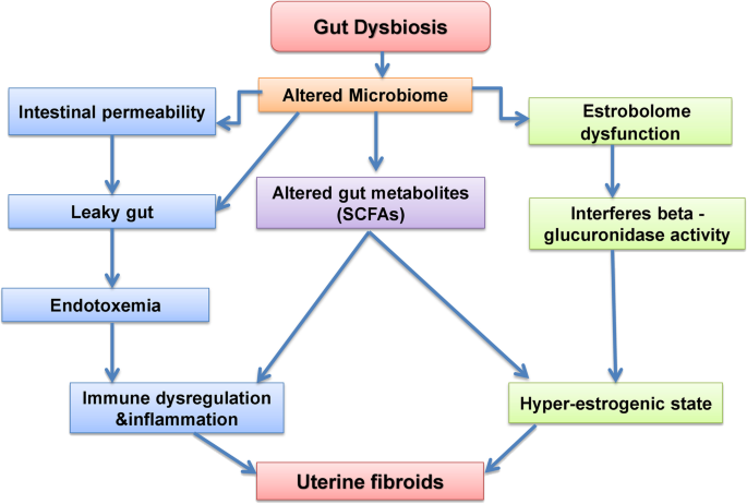 glutathione and uterine fibroids The Gut Microbiota: a Novel Player in the Pathogenesis of | Reproductive Sciences The Peptides Designed for QTY:3 bacteriostatic sodium chloride