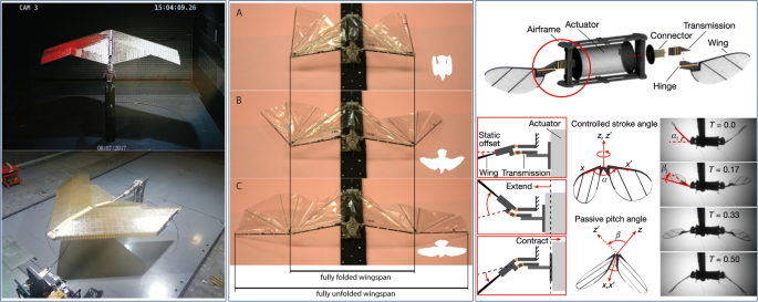 Review of snake robots in constrained environments - ScienceDirect