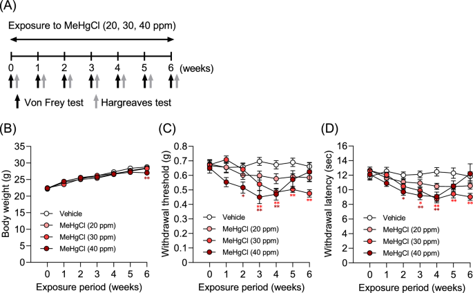 miyu white glutathione review Methylmercury causes pain disorders by disrupting the neuronal function of  spinal dorsal horn neurons in mice | Toxicological Research