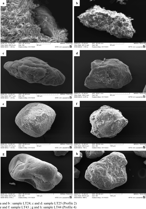 Hand samples of; (a) salt rock, (b) iron oxide, (c) rhyolite, (d)