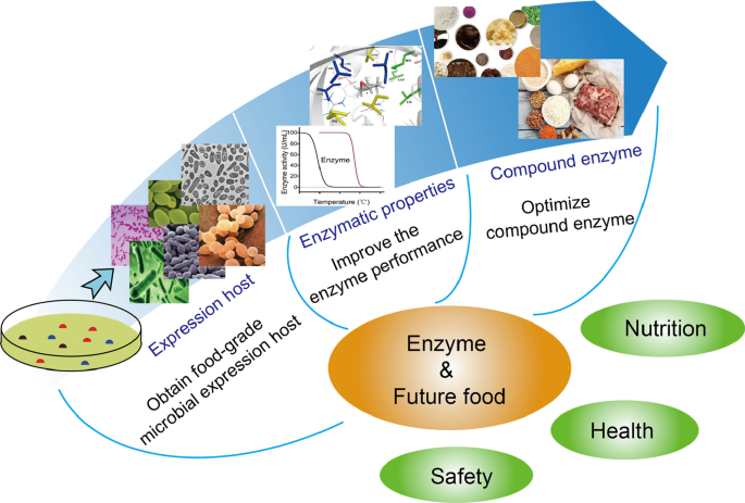 Current progress and prospects of enzyme technologies in future foods |  Systems Microbiology and Biomanufacturing