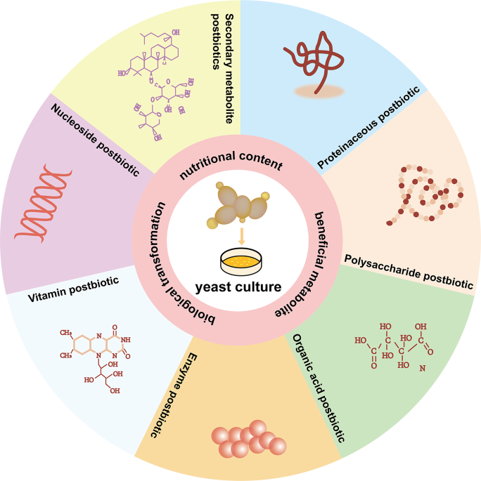 does glutathione feed candida Systematic evaluation and strategic utilization of bioactive constituents  in solid-state fermentation-derived yeast culture | Systems Microbiology  and Biomanufacturing