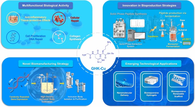 ghk-cu peptide injection dosage chart pdf The tripeptide GHKCu complex ameliorates lipopolysaccharideinduced acute  lung injury in mice