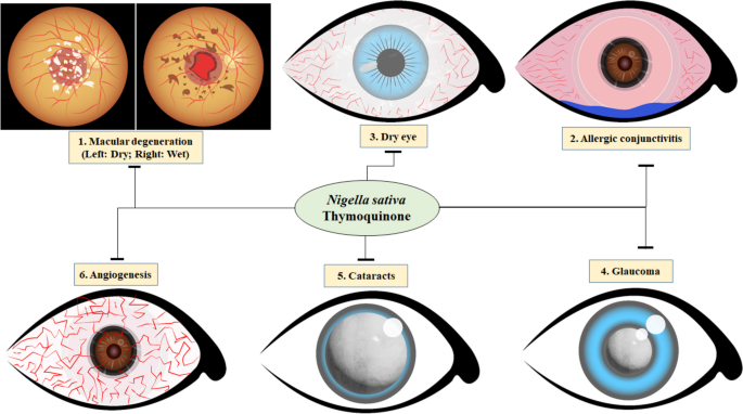 glutathione eye drops eye color change scientific evidence Glutathione 600Mg/4ML Tad main image 0