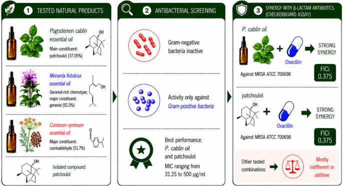 Chemical Characterization and Antimicrobial Screening of Commercial Volatile Oils and Evaluation of the Combinatorial Effect of Patchouli Oil and Patchoulol with β-Lactams - Revista Brasileira de Farmacognosia