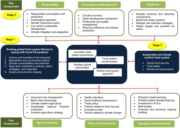 Full article: COVID-19 pandemic sheds light on the importance of food  safety practices: risks, global recommendations, and perspectives