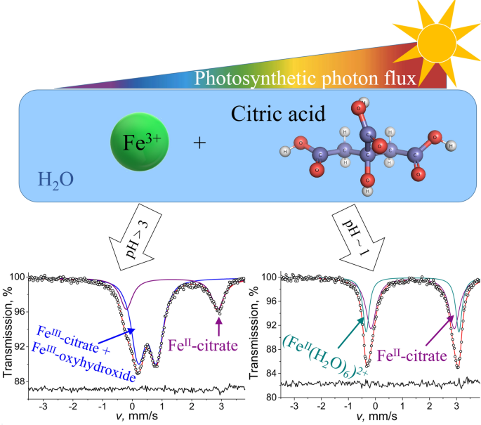 Rapid Redox Cycling of Fe(II)/Fe(III) in Microdroplets during Iron–Citric  Acid Photochemistry