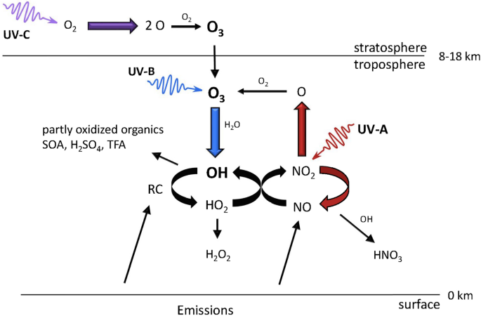 ACP - Particle phase-state variability in the North Atlantic free  troposphere during summertime is determined by atmospheric transport  patterns and sources