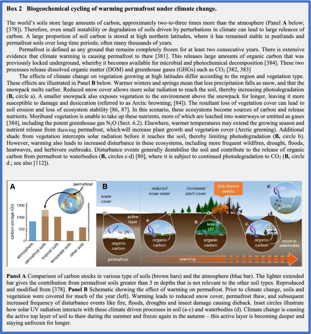 Interactive effects of changes in UV radiation and climate on terrestrial  ecosystems, biogeochemical cycles, and feedbacks to the climate system |  Photochemical & Photobiological Sciences