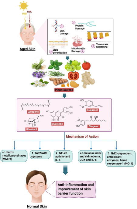 can i take glutathione if i have acid reflux How To Tablets: Dosage & Best Timing How Do Digestive Enzymes Help