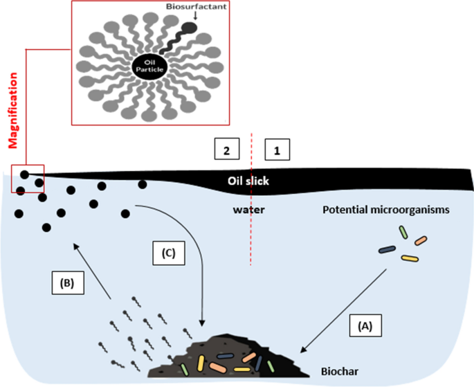 Frontiers  Formulation of Bio-Based Washing Agent and Its Application for  Removal of Petroleum Hydrocarbons From Drill Cuttings Before Bioremediation