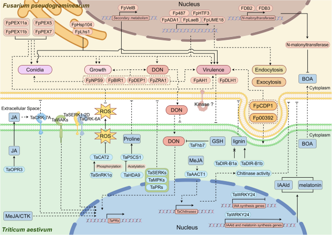 cjc-1295 and ipamorelin peptide cjc-1295 ipamorelin suppression of natural gh production Ipamorelin Peptide  Therapy in Florida: The Gentle Path to Recovery & Vitality