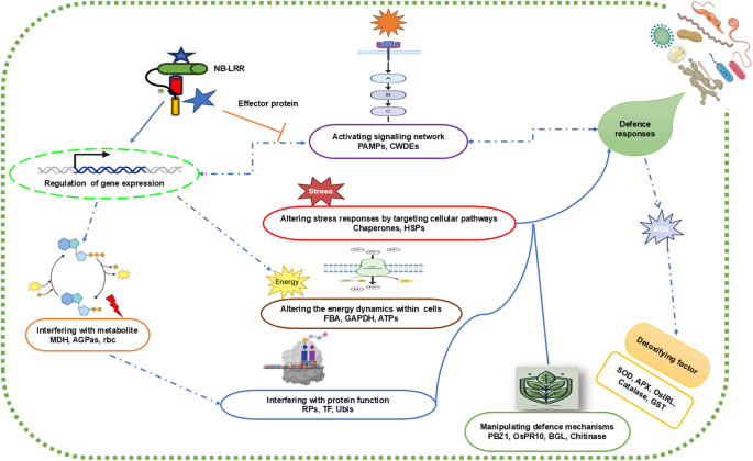 glutathione uses overdose What To Avoid When Taking Glutathione