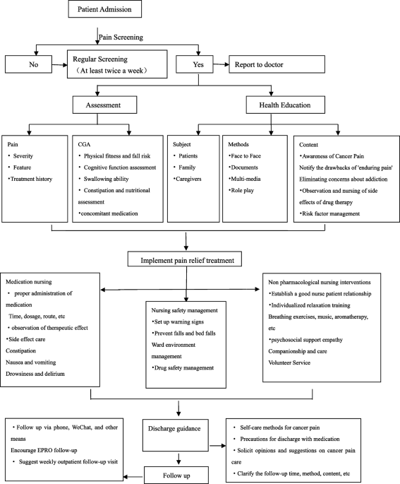 Advances in research on cancer pain management for elderly patients in China