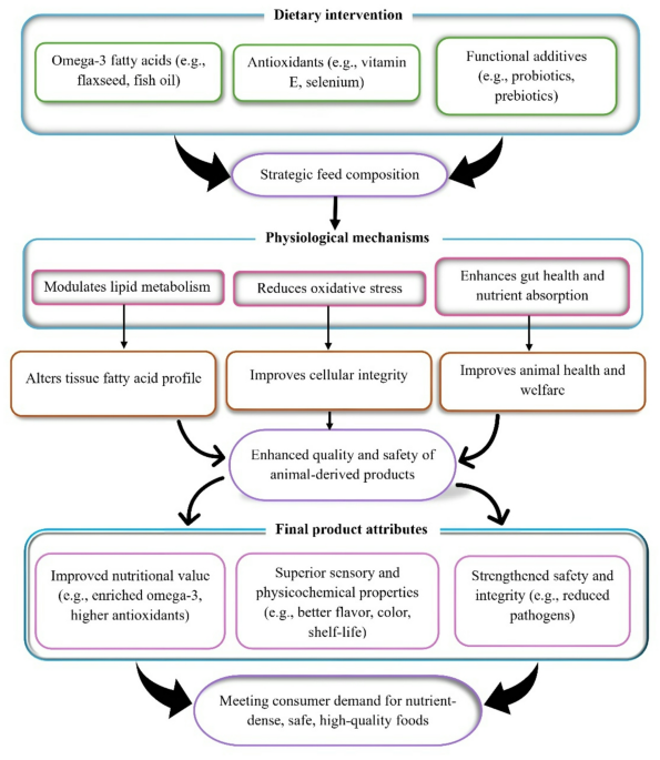 Nutritional strategies for enhancing the quality of animal-derived food  products | Discover Food