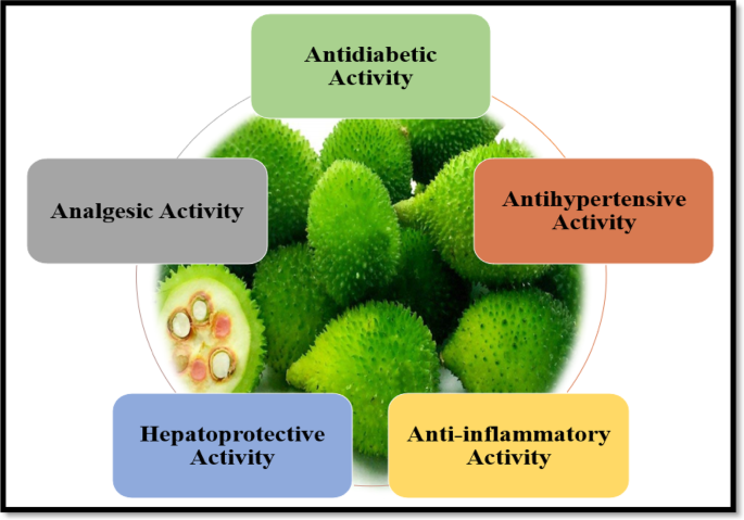 Evaluation of the neuroprotective activity of Momordica dioica against  aluminum chloride (AlCl3)-Induced alzheimer's disease in Wistar rats |  Discover Mental Health
