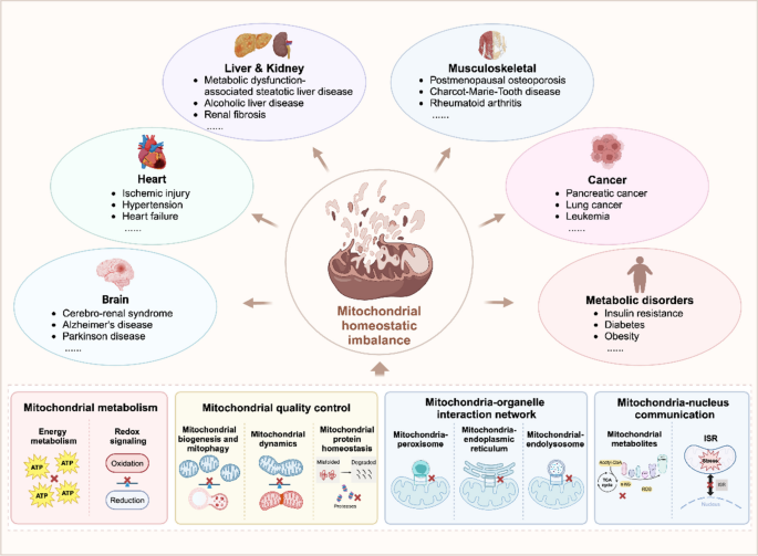 cjc-1295 ipamorelin dosage cjc-1295 ipamorelin peptides CJC-1295/Ipamorelin Dosage Protocol: The  Complete Clinical Guide to Dosing, Cycling, and Injection