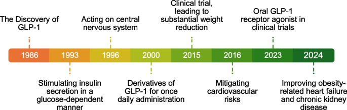 when were glp 1 agonists discovered The transformative breakthroughs in GLP-1 research recognized by the 2024  Lasker~DeBakey award | Current Medicine
