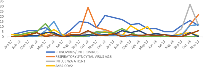 Dynamic Patterns and Predominance of Respiratory Pathogens Post-COVID-19: Insights from a Two-Year Analysis