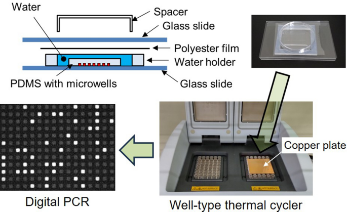 PCR Laboratory Set-up