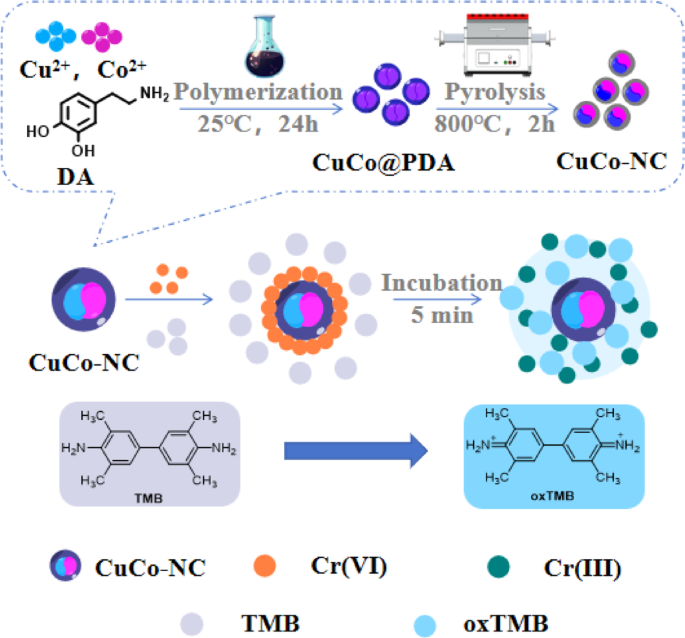 effective glutathione ph Ultrasensitive Cr(VI) sensing via H2O2-free electron-accepting pathway using atomically dispersed CuCo-NC | Analytical Sciences peptide face serum