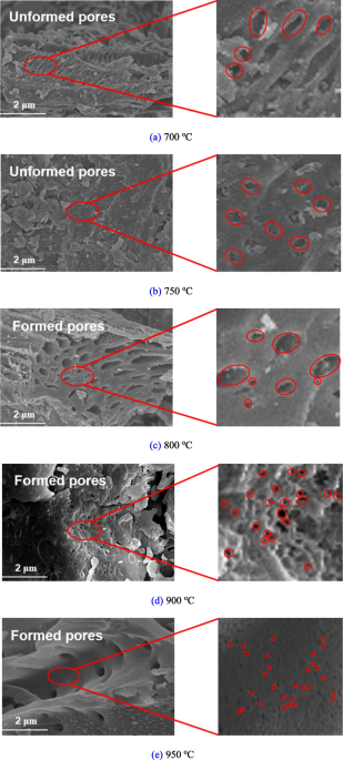 https://media.springernature.com/m685/springer-static/image/art%3A10.1007%2Fs44246-023-00079-9/MediaObjects/44246_2023_79_Fig4_HTML.png