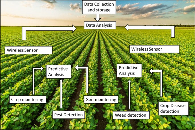 Applications of AI in precision agriculture