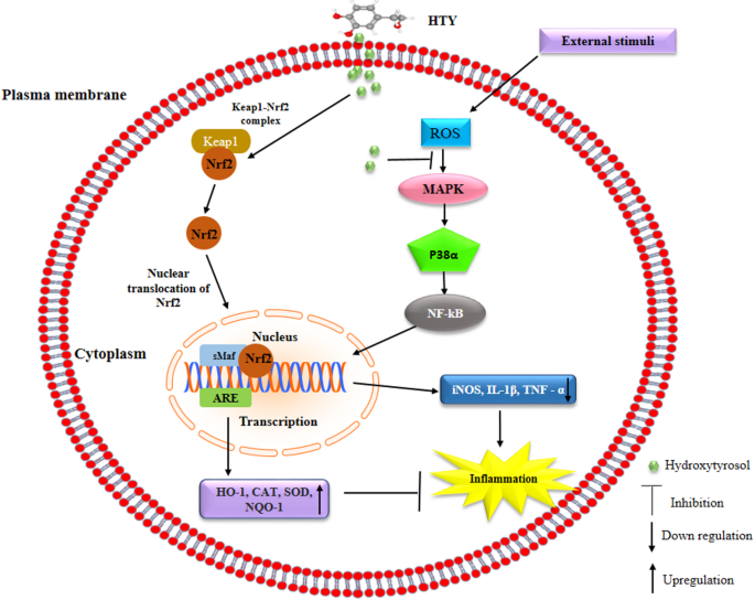 how much glutathione does the body produce Eat These Foods to Increase Glutathione in Your Body