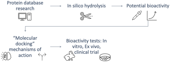 In Silico strategies for drug discovery: optimizing natural compounds from  foods for therapeutic applications | Discover Chemistry