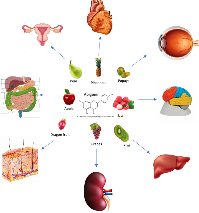 liposomal glutathione health benefits systematic review or meta-analysis Liposomal Glutathione - 60 caps