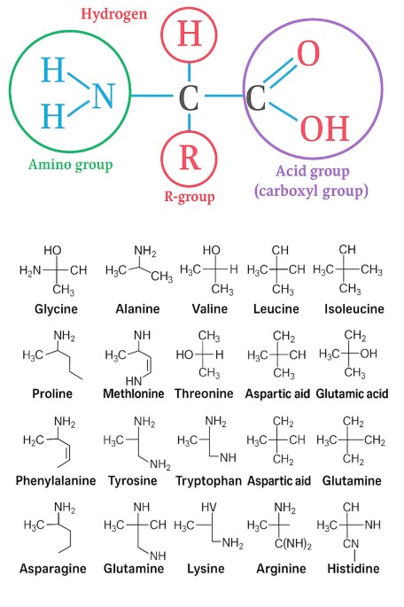 glutathione with coq10 and pqq Cymbiotika Liposomal Glutathione Same-Day Delivery or Pickup glutathione with coq10 and pqq Cymbiotika Liposomal Glutathione Same-Day Delivery or Pickup