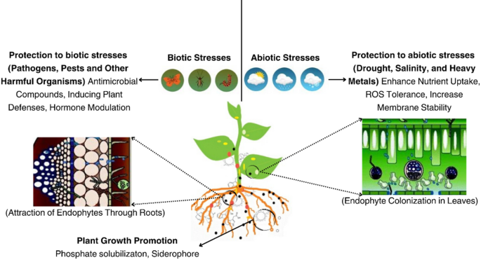sea it grow vitamins for plants Grow More Sea Grow All Purpose 25 lb main image 0