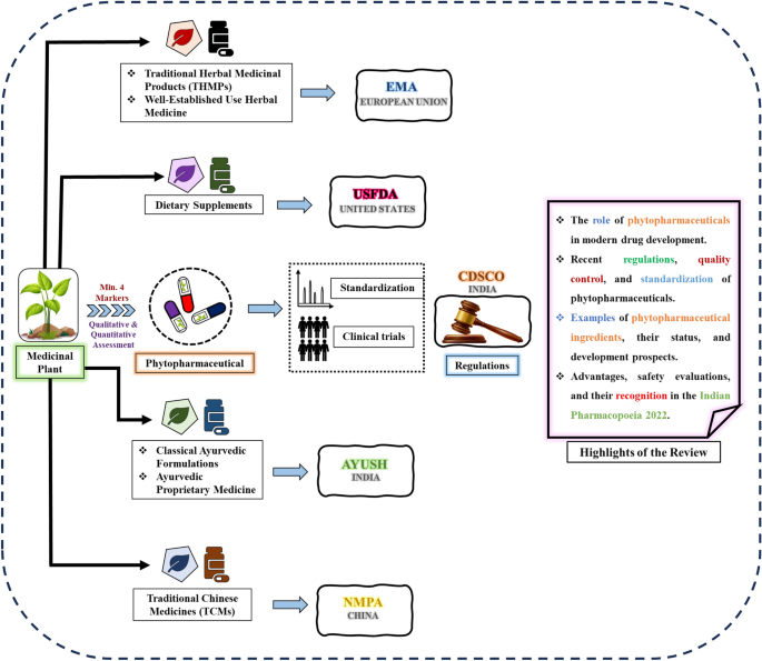 Regulations, current development, and future prospects of phytopharmaceuticals, a new class of herbal medicines in India | Discover Pharmaceutical Sciences | Sp