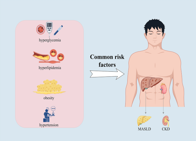 west virginia semaglutide gastric stasis law firm GLP-1 Gastroparesis Lawsuit: Stomach Paralysis and Delayed Emptying GI Injury Cases Metabolic Dysfunction-Associated Steatotic Liver Disease