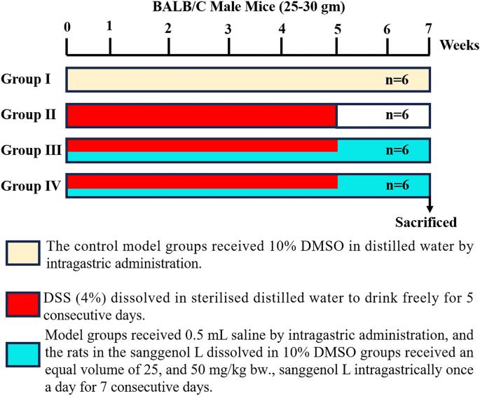 Sanggenol L Regulates Nrf2/HO-1/p65 Signalling Pathways via Dextran Sulfate Sodium-Induced Ulcerative Colitis in Mice