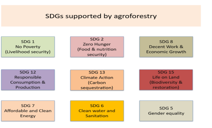 Agroforestry promotion for land restoration, livelihoods and economic resilience in India - Discover Forests