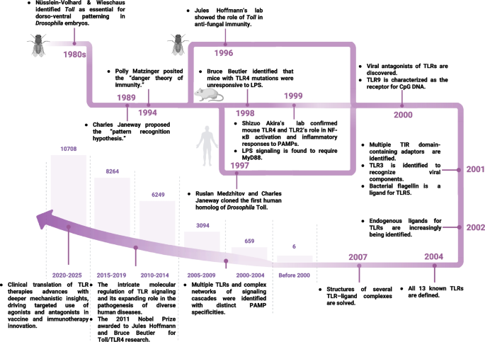 the glutathione revolution pdf Glutathione: Antioxidant Properties Dedicated to Nanotechnologies Toll-like receptors in innate immunity