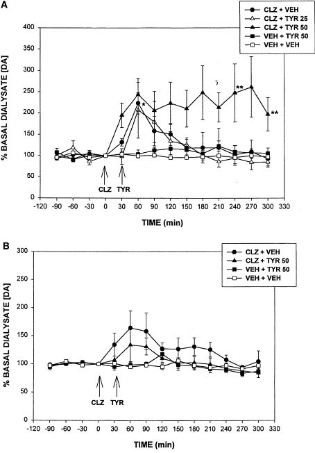 Tyrosine augments acute clozapine- but not haloperidol-induced dopamine release in the medial prefrontal cortex of the rat: an in vivo microdialysis s