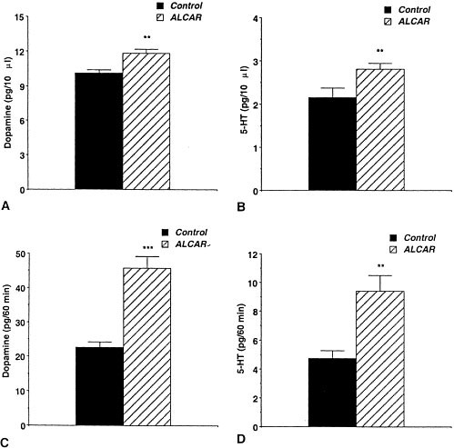 Effects Of Long Term Acetyl L Carnitine Administration In Rats I Increased Dopamine Output In Mesocorticolimbic Areas And Protection Toward Acute Stress Exposure Neuropsychopharmacology Effects Of Long Term Acetyl L Carnitine Administration In Rats I Increased Dopamine Output In Mesocorticolimbic Areas And Protection Toward Acute Stress Exposure Neuropsychopharmacology