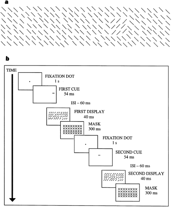 Attention improves or impairs visual performance by enhancing spatial resolution