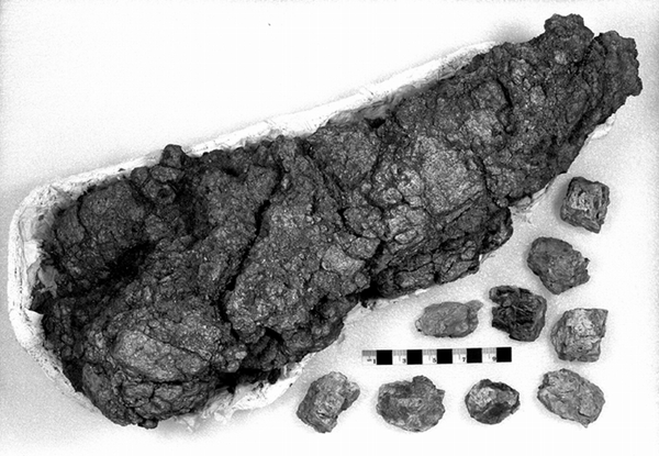 A king-sized theropod coprolite