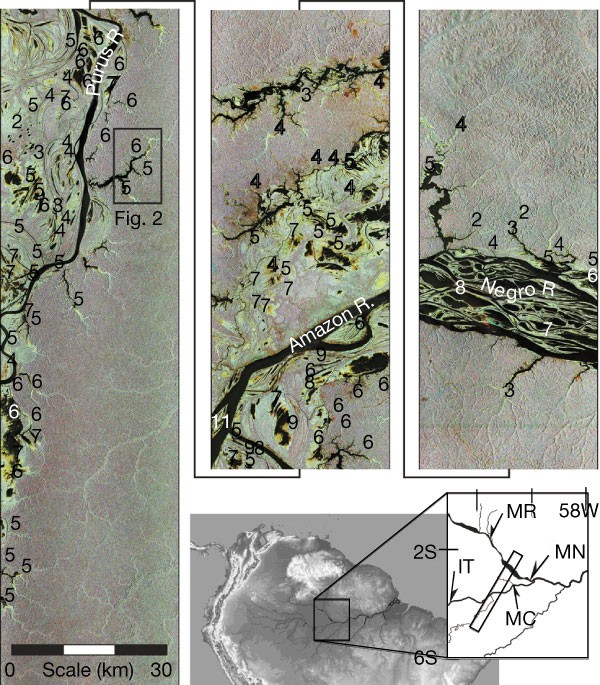 Interferometric radar measurements of water level changes on the Amazon flood plain