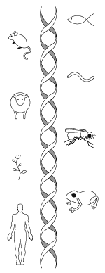 In search of a function | Nature Cell Biology