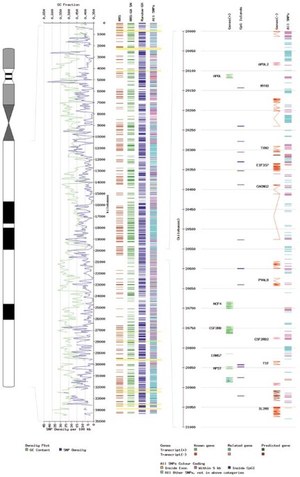 An snp map of human chromosome 22