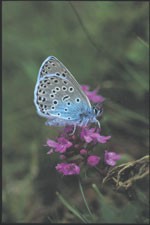 feature-image