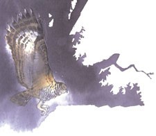 feature-image